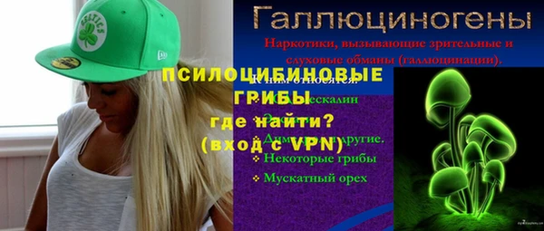 дмт Вяземский