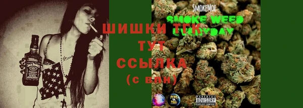 дмт Вяземский