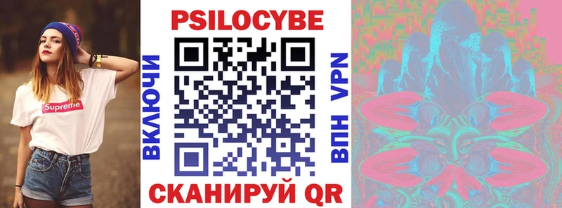 Купить где  Льгов  Галлюциногенные грибы Psilocybe 