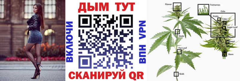 Купить Льгов Шишки марихуана VHQ